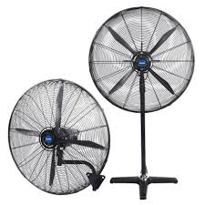 Fans
